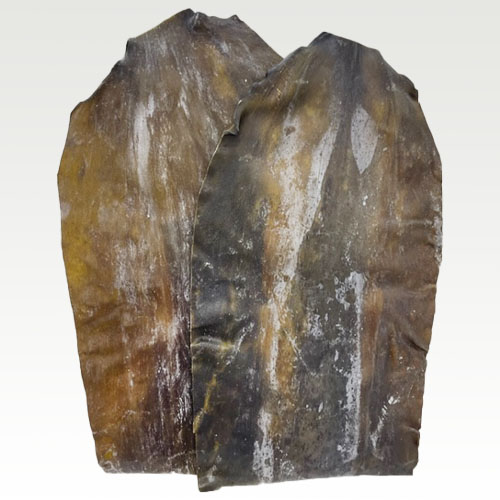 養殖らうす昆布の画像