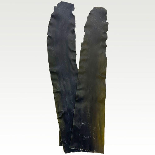 北海道産　出し昆布(のし)の画像