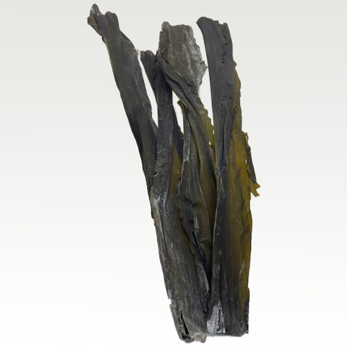 北海道産　出し昆布(棒)の画像